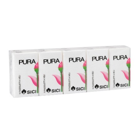Pañuelos papel pack 10x10...
