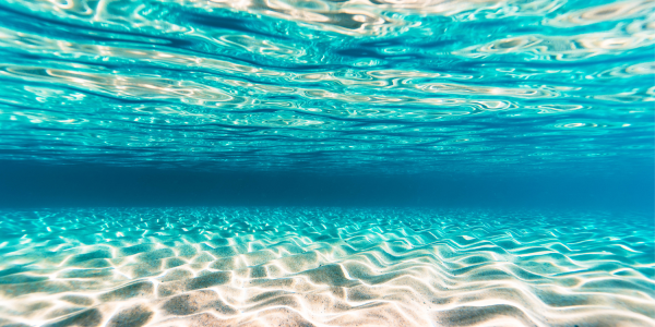 Cremas solares respetuosas con el medio marino: Protegiendo nuestros océanos en el Día Mundial de los Océanos